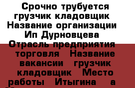 Срочно трубуется грузчик-кладовщик › Название организации ­ Ип Дурновцева › Отрасль предприятия ­ торговля › Название вакансии ­ грузчик-кладовщик › Место работы ­ Итыгина 24 а › Минимальный оклад ­ 20 000 - Хакасия респ., Абакан г. Работа » Вакансии   . Хакасия респ.